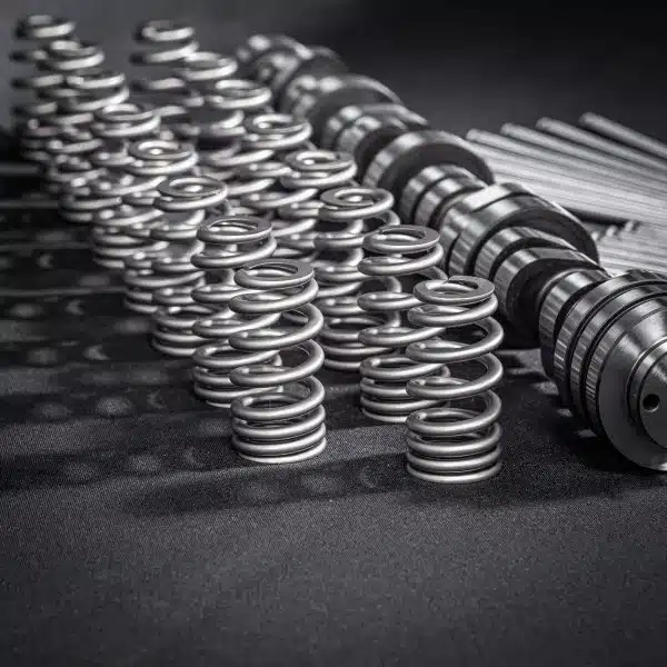 Stage 3 Cam kit Dusterhoff Racing Springs Set